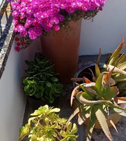 Casa Pumi Nel Centro Storico Di Nardo' Con Terrazza Panoramica Nardo